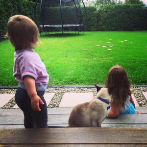 11048670_814619305286056_2673162320076318607_n