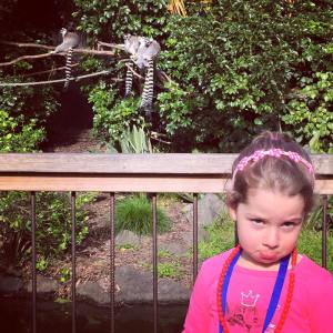 11407236_845353815545938_5088409336011108515_n