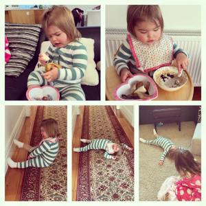 11738052_859197404161579_6779362705461133438_n