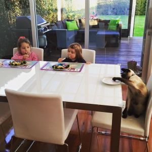 11058374_877150595699593_3022900993139981173_o